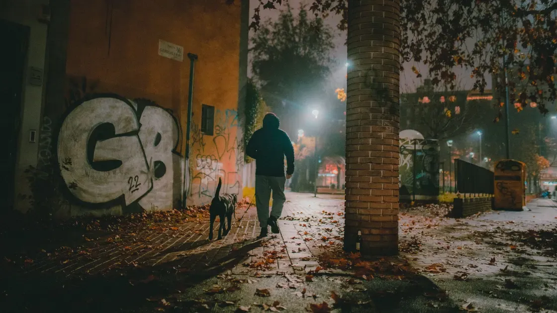 Person som går ut med hunden på en mörk gata på kvällen