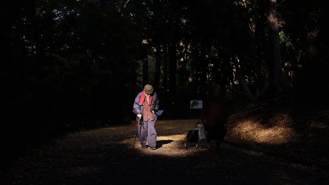Äldre man med käpp går på en lövtäckt skogsstig i motljus, en annan person med dragvagn bakom