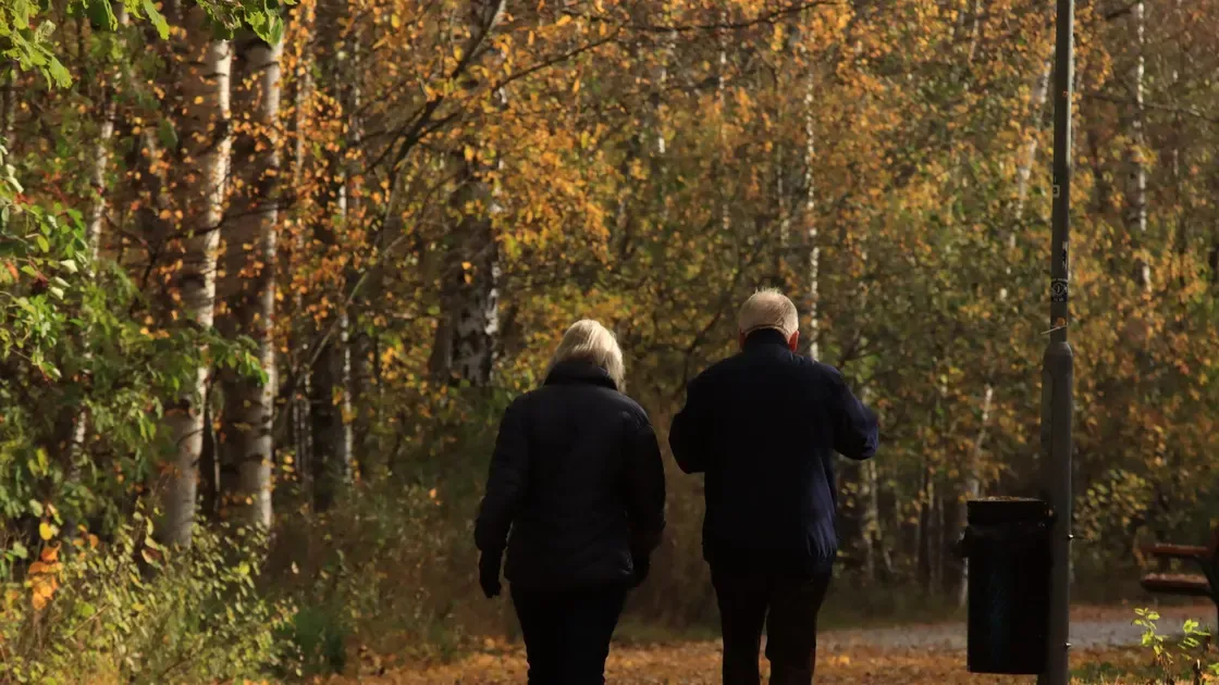 Ett par promenerar på en grusstig mellan björkar i höstfärger
